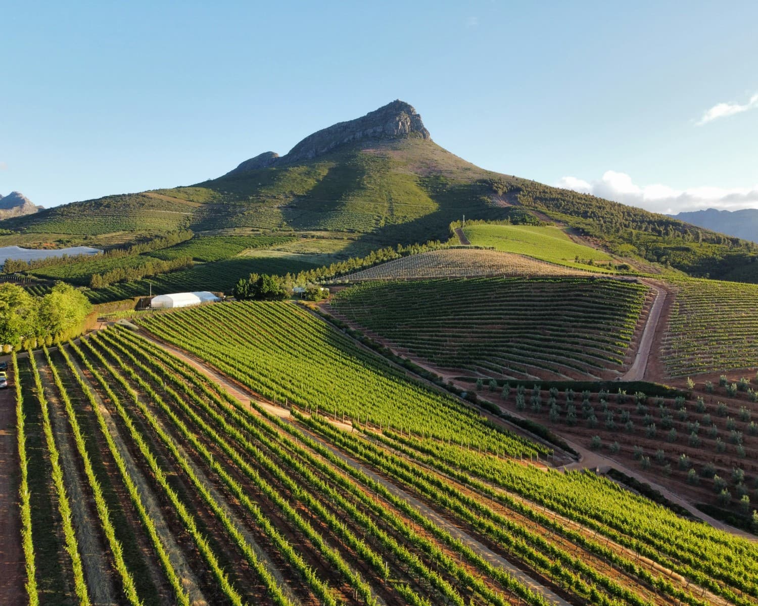 Wine Country