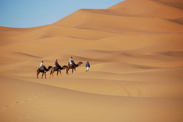 Trip for Jaisalmer & Jodhpur