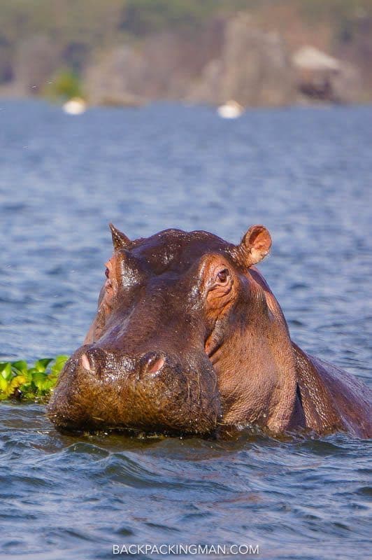 Mara Magic, Lakes & Nairobi Discovery