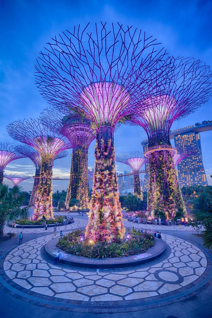 Singapore 5 N 6D package