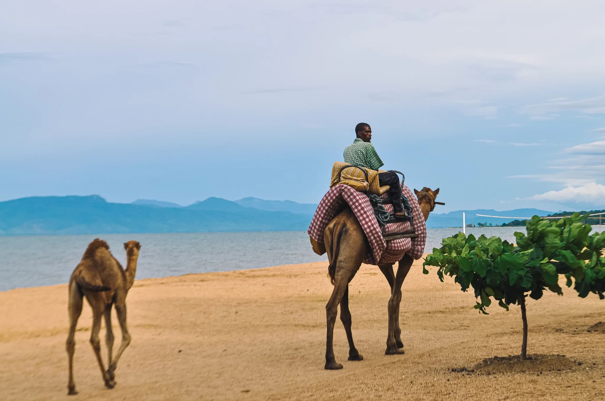 Kenya Travel Itinerary: Perfect 7-Day Safari & Beach Holiday