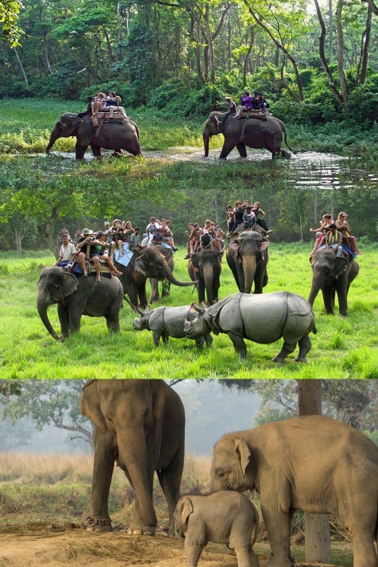 Nepal Tour - A Bliss on the lap of Nature