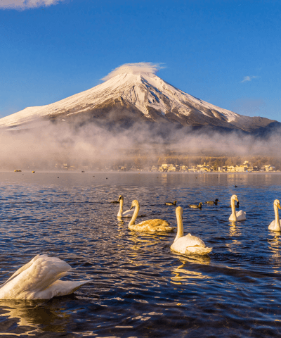 Complete Japan