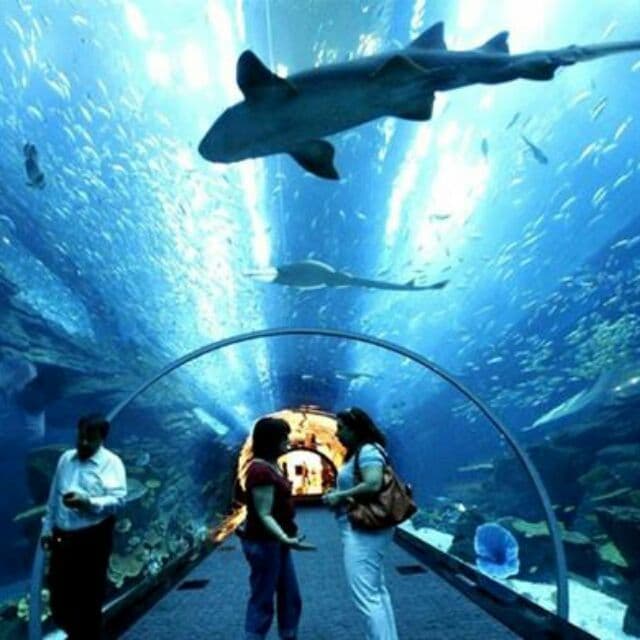 Malaysia and Langkawi Tour