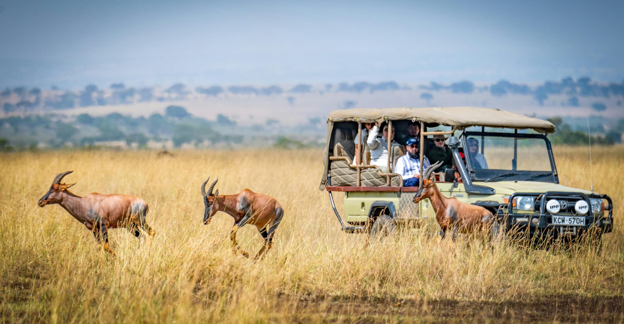 The Ultimate Mara Horizon & Nairobi Discovery