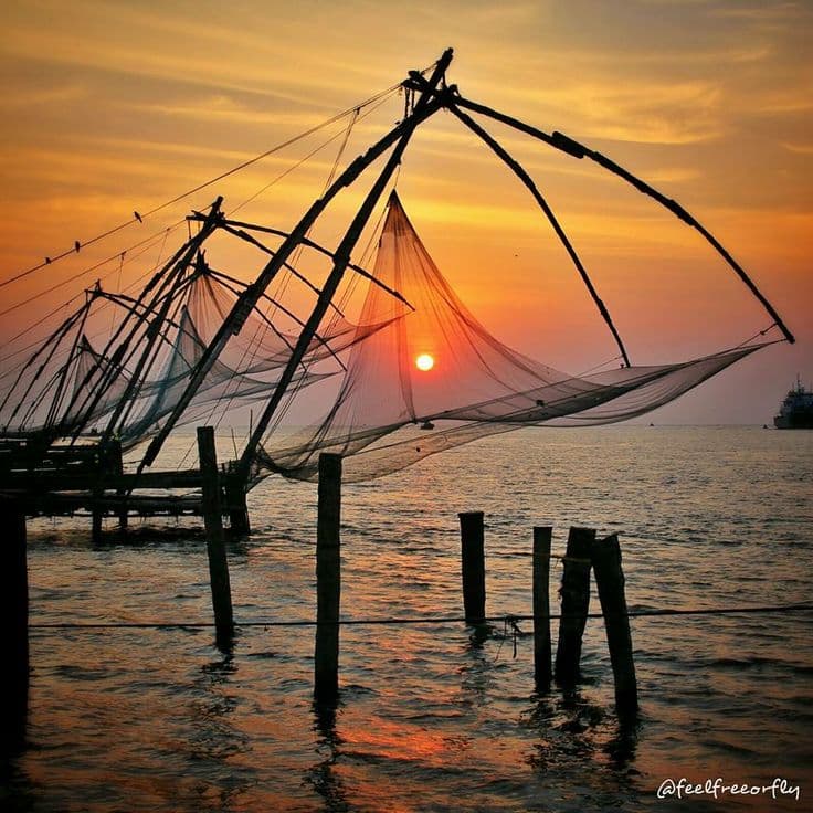 Exploration of Munnar, Thekkady, Alleppey & Cochin