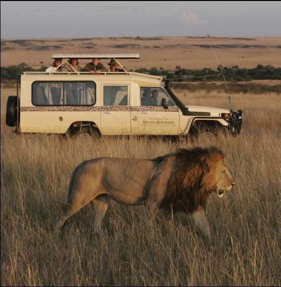 Experience the ultimate African Safari with Tanzania
