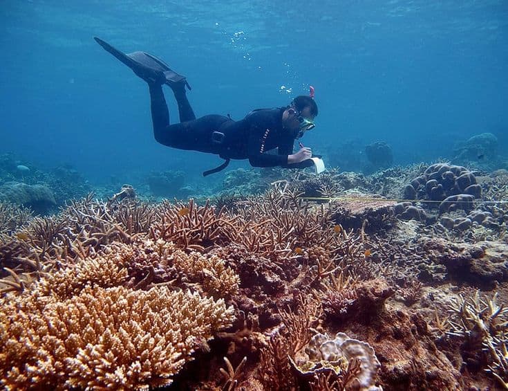 Best of Philippines Tour: City, Island & Adventure Escape
