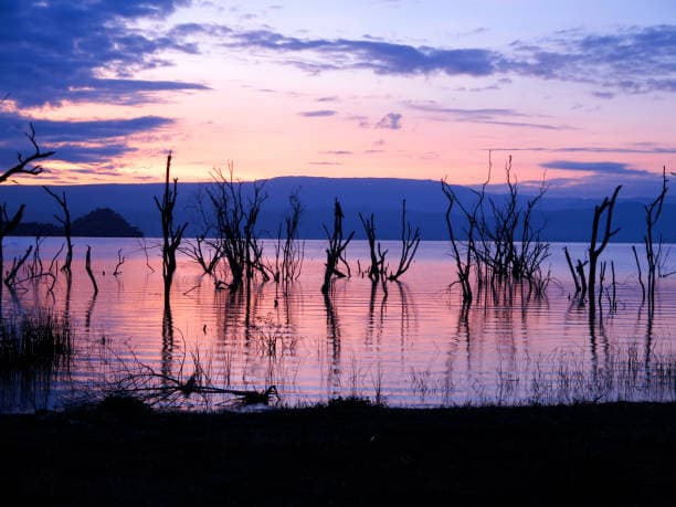 Giants of Amboseli & Lakes Safari