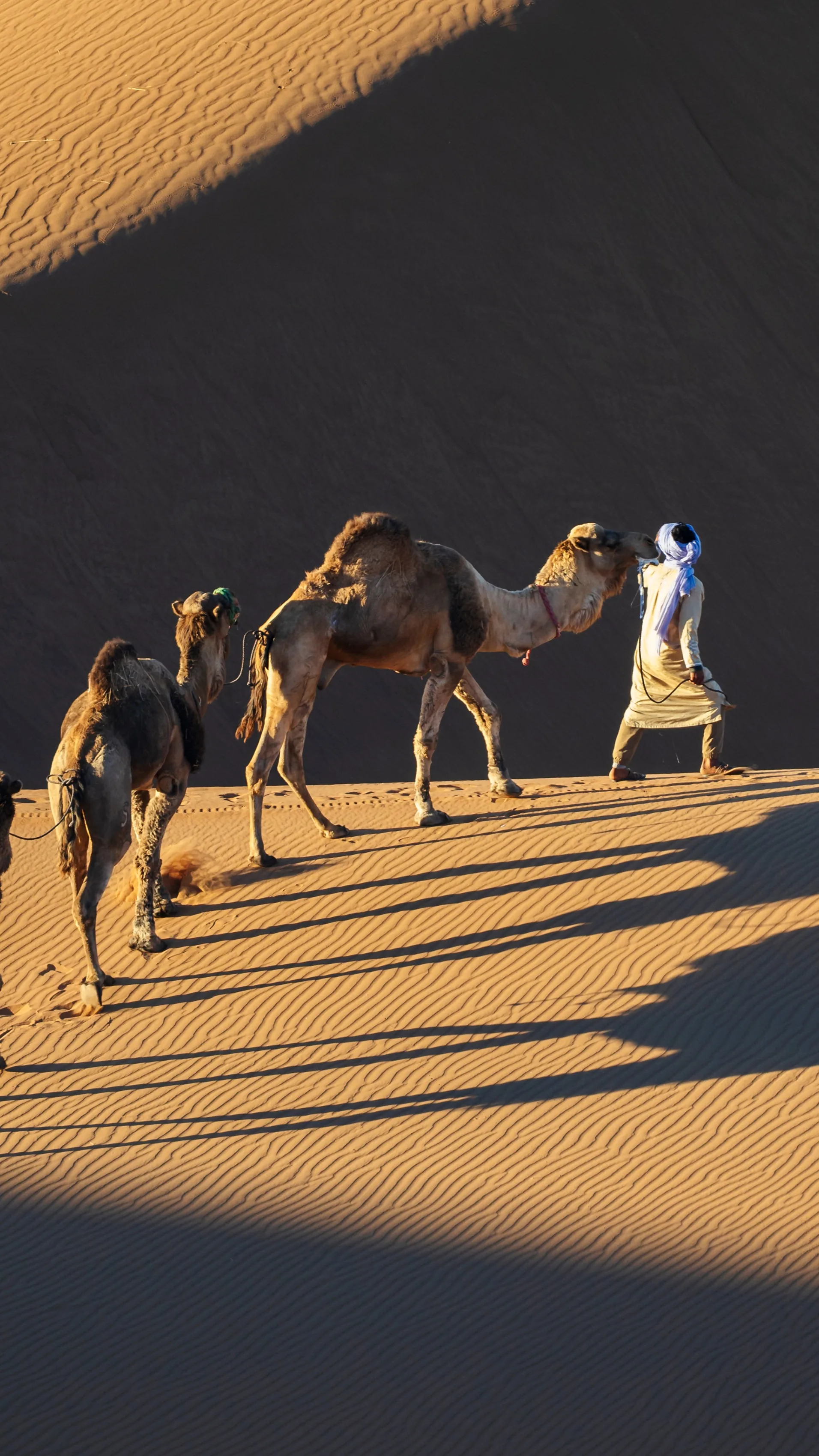 Rajasthan