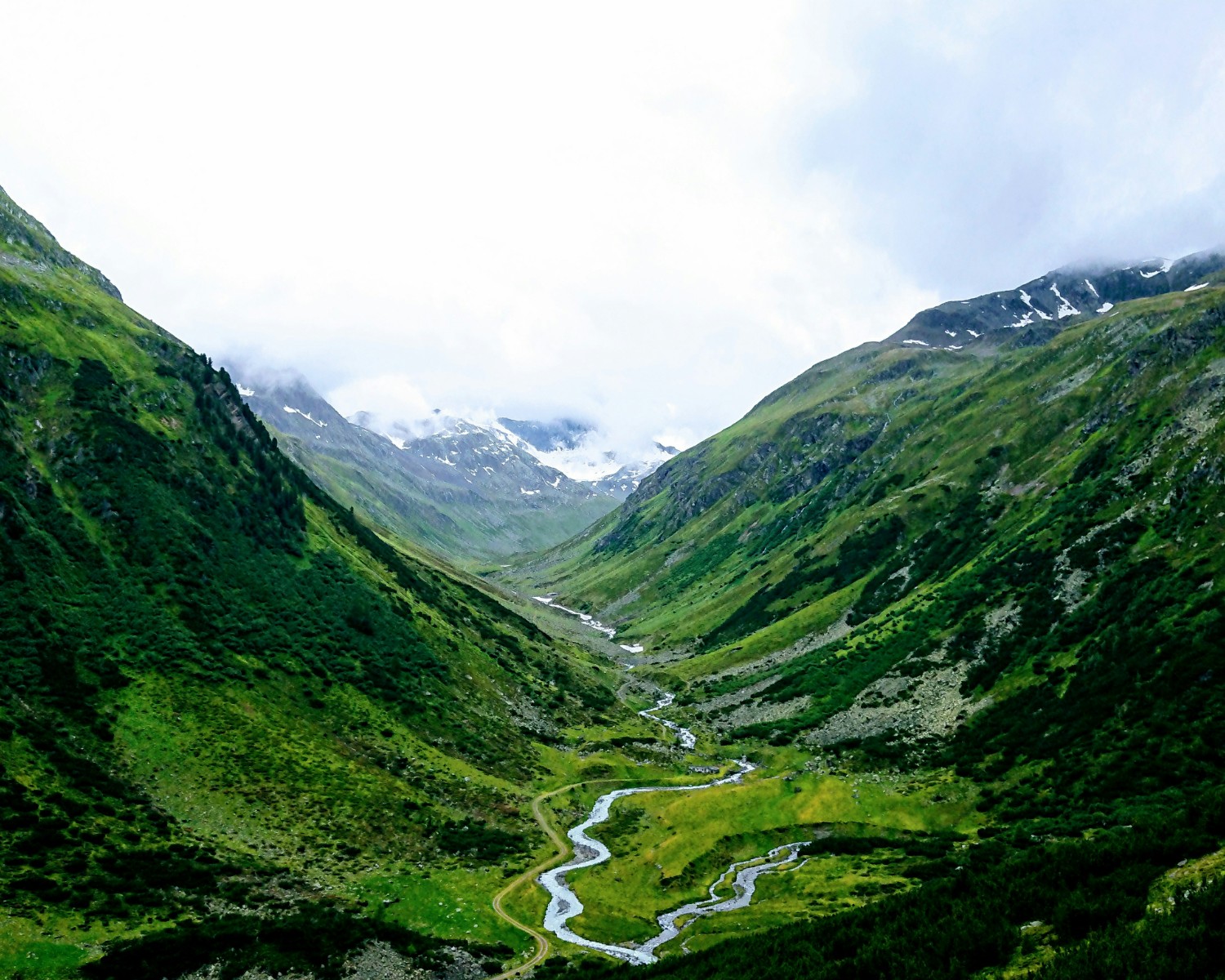 Ziro valley with cascading rice paddies and tribal villages
