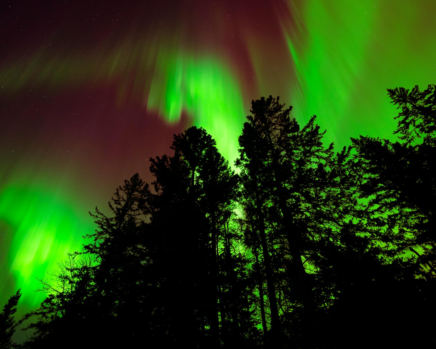 Aurora Borealis dancing across Arctic night sky in vibrant greens
