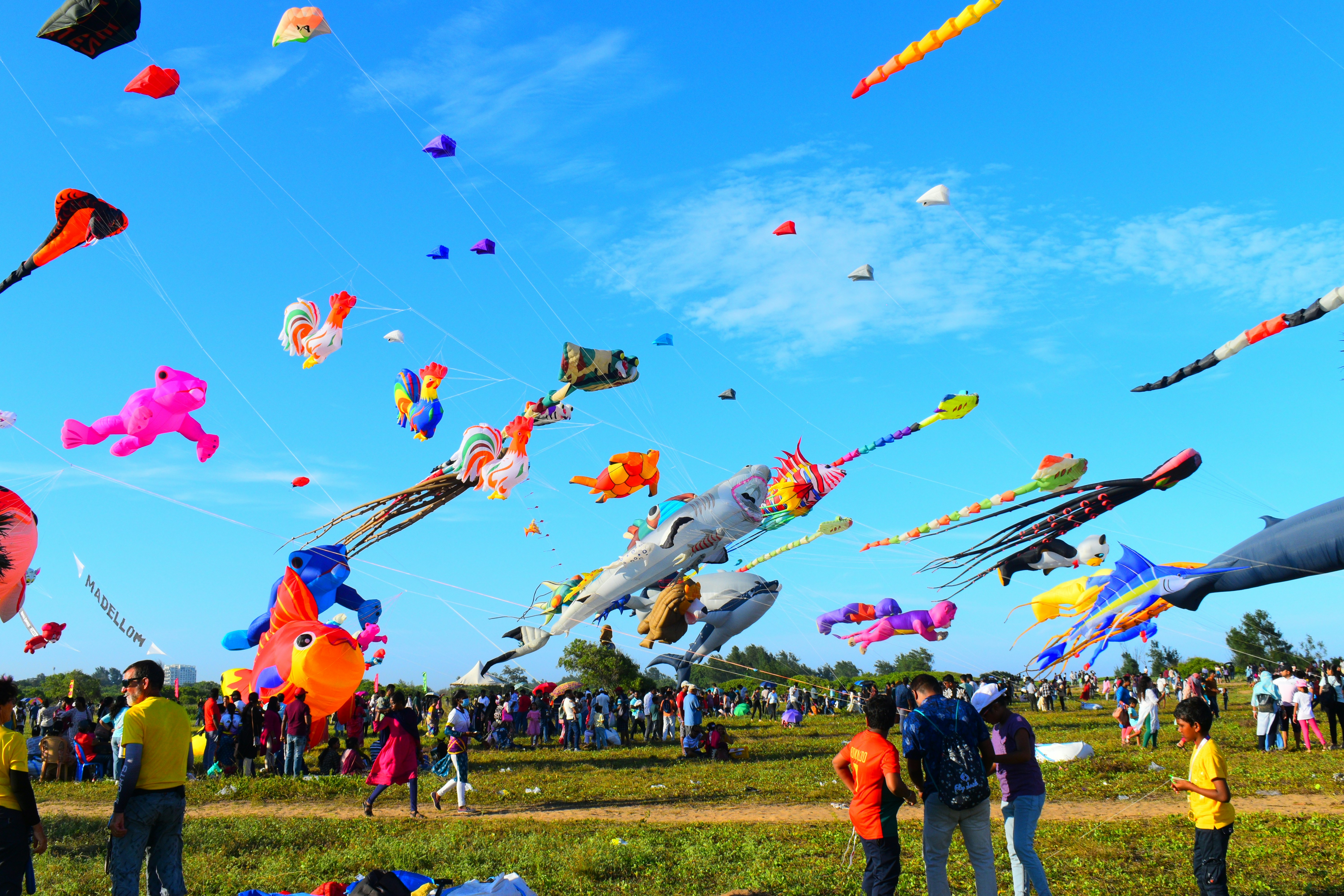Rooftop gatherings during kite festival