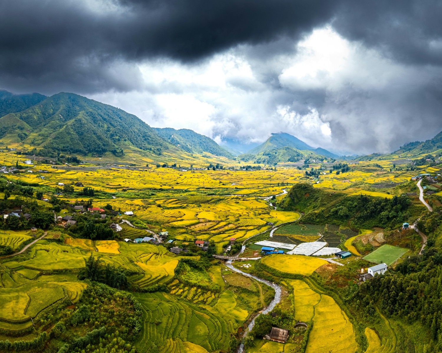 Emerald rice terraces cascading down Sapa's mountainsides