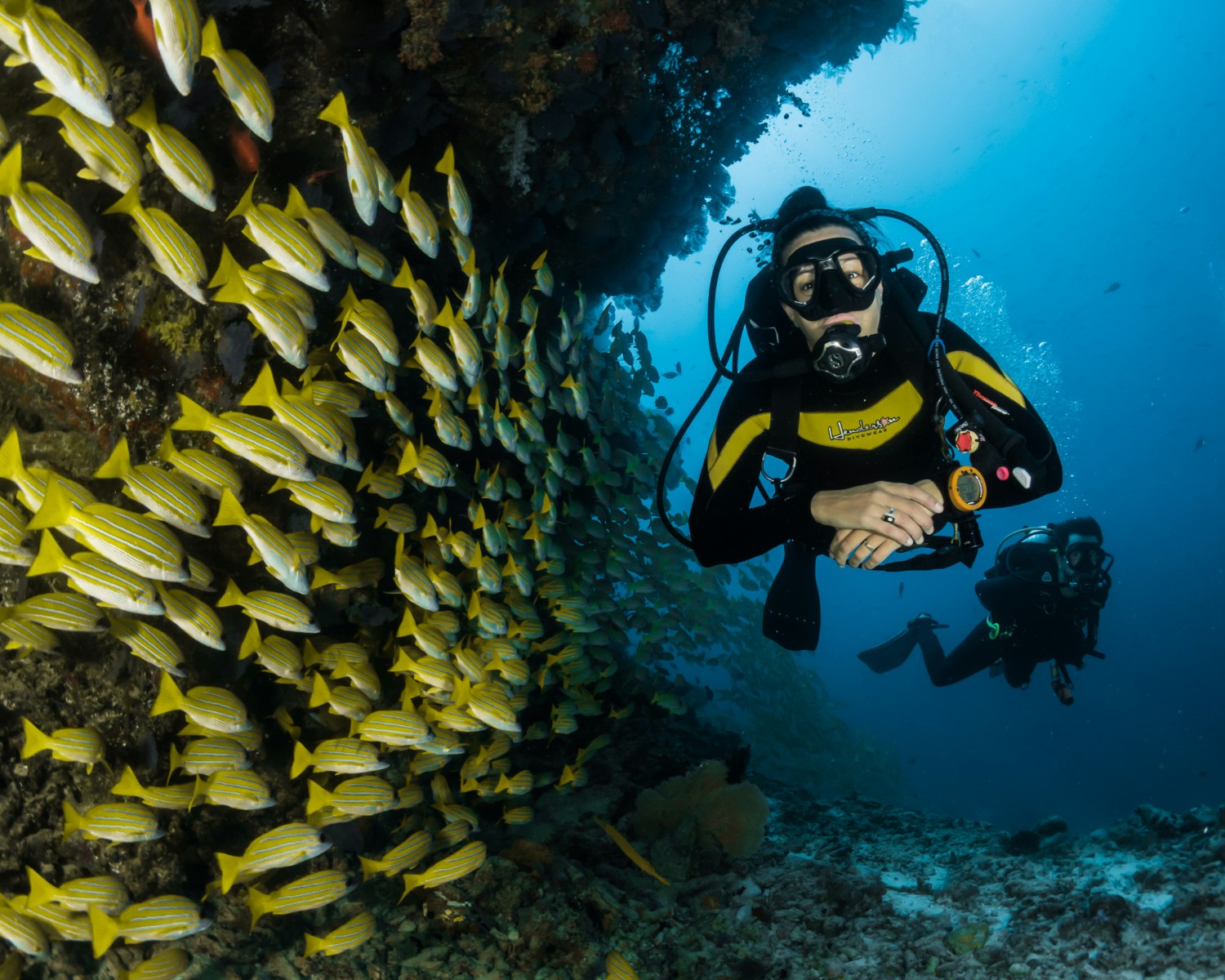 Scuba Diving in Pristine Coral Gardens